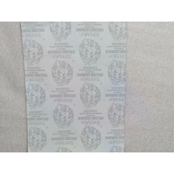 SANDYLION MAXI BIG Stickerabschnitt Fuzzy Stoff Filz Löwen Lion Safari 90er