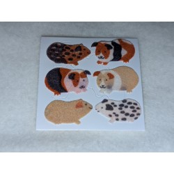 Stickerabschnitt Sandylion...