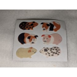 Stickerabschnitt Sandylion...