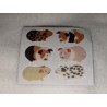 Stickerabschnitt Sandylion Sticker Fuzzy Stoff Meerschweinchen 80er 90er