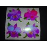 SANDYLION Stickerabschnitt Pearly Glanz MOP Orchideen Blumen Sticker 80er 90er